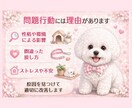 子犬のしつけ・噛み癖・トイレの悩みアドバイスします あなたと愛犬に合った“無理しないしつけ”をご提案します イメージ2