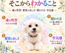 ペットさんの魂の色と特性を読み解きます 〜この子は、どんな魂？色と質感から見ていきます〜 イメージ3