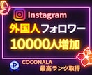 インスタのフォロワー＋10000人増やします Instagram1万人増加！振り分け可能！4月限定特価！ イメージ1