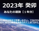 信頼度抜群✨2023年の運勢を算命学で占います 生年月日で今後起こる出来事・テーマ・開運法などお伝えします。 イメージ3