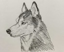 世界に一つだけのかっこいいデッサン似顔絵を描きます 動物人物OK♪インテリアや記念日、プレゼントにも！ イメージ5