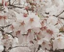 愚痴聞きます   【タロット付き】 イメージ1