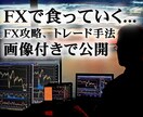 勝つためのFXトレード手法、画像付きで解説します 専業FX希望者向け。FXトレード手法を画像付きで公開します。 イメージ1
