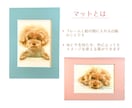 ペット似顔絵　手描きの水彩画で優しく描きます 犬・猫その他ペット全般の似顔絵/プレゼントにもオススメ◎ イメージ9