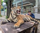 初めての個人手配旅行のお手伝いをします 旅の企画からチケット手配など、どうしたら良い？を解决 イメージ1