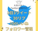 丸投げOK1日30リプ30いいねします あなたのココナラ・note・BrainをTwitterで宣伝 イメージ1