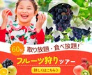 ぱっと目につくバナーを制作いたします 高品質なWEB画像！あなたのビジネスに貢献します イメージ2
