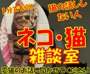 ネコのお話ししませんか？猫トークで盛り上げます 愛ネコYouTuber！猫たちの成長記録や難病克服日記配信 イメージ1
