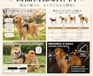売れるAmazon商品画像を制作しますます 日本市場向けの商品画像を制作します イメージ4