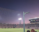 野球場で撮影した写真を販売します 趣味で撮った写真(甲子園やエスコンでの)を提供します イメージ4