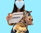 愛犬向け!ご飯選びのご相談に乗ります わんちゃんの体質・お悩みに合ったご飯選びをサポートします! イメージ1
