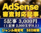 AdSenseの合格に特化したブログ記事を書きます AdSenseの合格実績多数。安心してご相談ください！ イメージ1