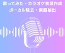 既存楽曲からボーカル除去を行います 既存楽曲からボーカルを除去し、歌ってみた・カラオケ音源を作成 イメージ1