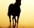 馬連4頭BOX(6通り)で予想をご提案します あなたの競馬ライフをより良い物に… イメージ3