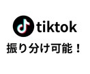 TikTokのフォロワー1000人増やします ✨2000人〜のプランもあります✨保証あり✨ イメージ3
