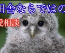 青森在住の田舎者が相談のります 田舎育ちですが一生懸命相談のります。 イメージ1