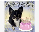 ペットのLINEスタンプ作成します とびっきり可愛いオリジナルスタンプ！ イメージ7