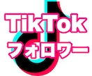 TikTokのフォロワーを1000人増やします TikTok 拡散 フォロワー＋1000人 イメージ1