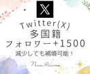 Twitter(X)フォロワー宣伝拡散で増やします 【最短3日で1500人増加！フォロワー爆増で注目度UP！】 イメージ1