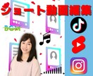ショート動画編集のプロが制作します 高品質でスピード対応どんなジャンルもお任せください イメージ5
