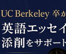 Berkeley卒が英文エッセイを添削します 英語＋論理構成の両面から丁寧にサポート！ イメージ1