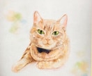 あなたの大切な愛猫の似顔絵描きます 柔らかい雰囲気でリアルな似顔絵描きます イメージ1