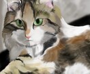 あなたの大切なペットの肖像画描きます 現役洋画家が描く本格デジタル画 イメージ1