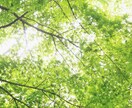 妊活中妊娠中、小さなお子様のママの休憩所になります 8歳の年の差兄妹の子育て経験で　あなたをねぎらいます。 イメージ10