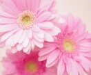否定せずゆっくり話聞きます お話を聞くのも話すのも好きです、なんでもお話しましょうっ！ イメージ1