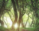 恋愛成就を後押しし運命の流れを整えます 【神威秘儀・澄巡ノ法】滞った恋の巡りを整える秘儀 イメージ10
