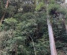 些細な事も、心のモヤモヤもお聞きします 誰にも言えない気持ちを話すだけでも楽になります イメージ1