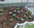 オーダーメイド家事代行承ります 笑顔で子育て＆介護☺見えない家事サポート イメージ6