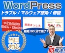 ワードプレスの不具合解決⭕マルウェア駆除復旧します 今すぐ対応可能マルウェア駆除・エラー不具合・乗っ取りなど解決 イメージ4