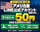 アメリカ版 LINE公式アカウントの開設代行します ココナラ最安値に挑戦！画像・名前の一括設定／外部連携も対応 イメージ1