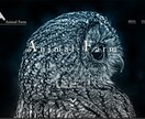 Web開発<<HTML•CSS>>承ります Webサイトの開発を承ります！（受託経験なしなので要相談） イメージ1