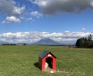 面識のないプロの教師がアドバイスします 担任の先生に相談できない…。なら、「面識のない」先生に相談！ イメージ1