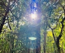 宇宙のエネルギーを流し地球にグラウディングさせます あなたの願望の現実化がスピード化していきます。 イメージ1