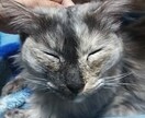 お話(*´ω｀*)聞きます 話したい時にそっと寄り添います 心を、軽くしましょう♪ イメージ3