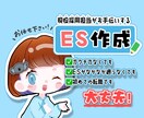 大手実績多数！現役採用担当がES作ります 0からの就活・転職も安心！優しくサポート イメージ1