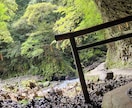 財運開花・金運の波を四神霊視で読み解き導きます 金運×波動×四神で財の巡りを整え、花咲き乱れ雲一つない未来へ イメージ9
