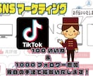 TikTok☆フォロワ【1000人】まで拡散します ☆高品質フォロワー☆達成保証☆良品質アカウントサポート イメージ1