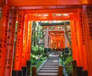 あなたが幸せになるために、歩むべき道を照らします あなたの運気、九星氣学でドカンと開運しませんか？ イメージ1