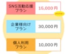 SNS活動応援！オリジナルキャラクター作成します 企業実績多数！修正無制限無料！これからを応援したい特別価格！ イメージ2
