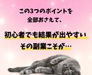 結果が出ない副業初心者さんを救うコンサル致します AIで時短商品作成&販売する【手に職】スキルを短期習得！ イメージ4