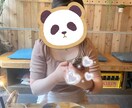 男女問わず♡マッチングアプリ始め方アドバイスします マッチングアプリ登録、何から始めれば…ご相談乗れます♡ イメージ1