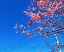 暇な時に話し相手になることができます なんでもないような話、くだらない話から愚痴まで楽しく話せます イメージ2