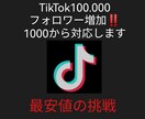 TikTokのフォロワー最大10万人増やします ティックトックの宣伝・運営で＋1000人以上目指します イメージ1