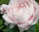 英会話…楽しく学べます Making the utmost イメージ10