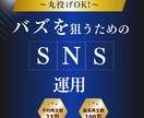 リールメインのSNS運用代行します リールでバズを狙う！再生数100万超えの実績あり イメージ1