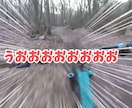 YouTube動画のテロップ入れ格安で承ります 真面目に丁寧に取り組ませて頂きます！ イメージ4
